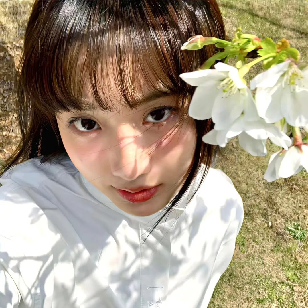 古山子：大东舆地图