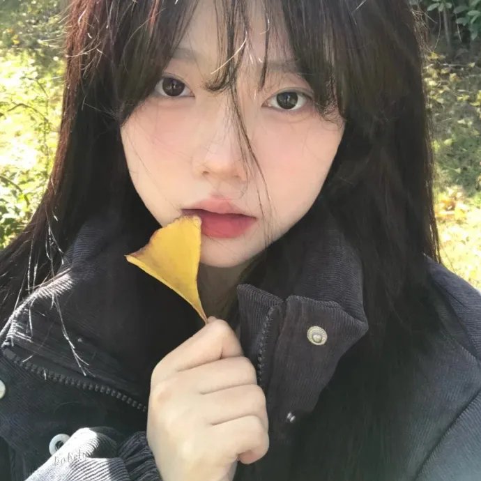 反诈风暴